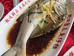 -蛇口康乐快餐鱼仔档(翠苑小区店)