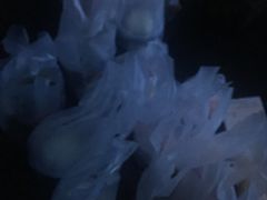 -唱吧麦颂KTV(方庄店)