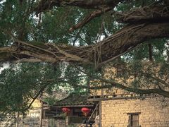 -云水谣景区