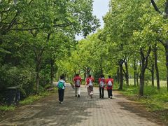 -上海海湾国家森林公园