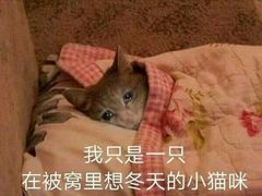-西单明珠商场