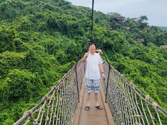 -亚龙湾热带天堂森林公园