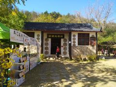 -千年银杏谷文化旅游区