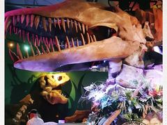 -悉尼海洋生物水族馆