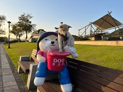 -东钱湖旅游度假区