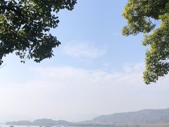 -湖畔居茶楼(湖滨店)