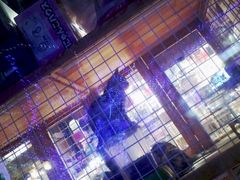 -爱宠屋pet shop·宠物洗澡·宠物美容