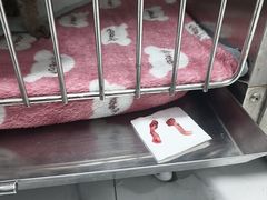 -嘉馨宠物医院·CT影像转诊·心脏科·犬猫全科诊疗中心(下沙大学城院区)