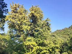 -香山公园-东宫门售票处