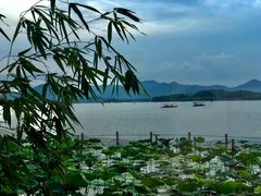 -湖畔居茶楼(湖滨店)