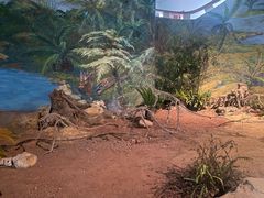 -自贡恐龙博物馆