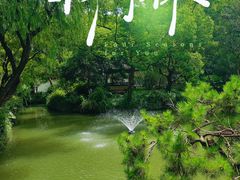 -上海醉白池公园