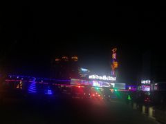 -枫花园汽车电影院(朝阳公园店)