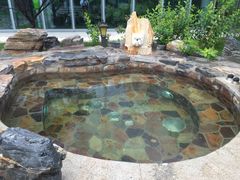 -中家鑫园温泉酒店鑫悦汤泉