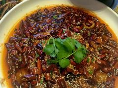 -天堂鸟水煮鱼·烟火川菜(凤凰路店)