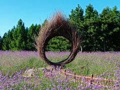 -羊亭河湿地公园