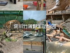 -栾川竹海野生动物园