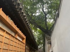 -铃木食堂(杨梅竹店)