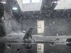 -武汉动物园