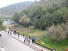 -延安杨家岭革命旧址