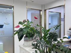 -启辰口腔(南坪店)