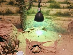 -正佳雨林生态植物园