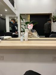 点击看大图 -Garden花園造型