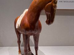 -深圳博物馆(古代艺术馆)