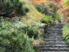 -苏州上方山国家森林公园