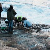 这样的赶海应该没有人不喜欢吧(2)图文篇🥰🥰🥰