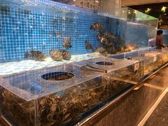 大闸蟹-蓝钻·国际美食海鲜自助百汇(西直门店)