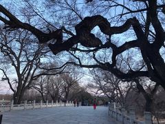 -北陵公园