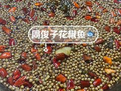 -都江堰普照寺