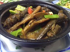 泥鳅黄鳝煲-清水湾农庄(如意路店)