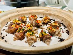 盐焗黄金螺-申粤轩·手工点心·金牌烧味·经典粤菜(丁香花园店)