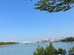 -五缘湾湿地公园