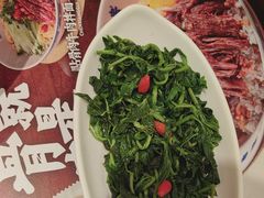 -陳香貴·兰州牛肉面(东方宝泰店)