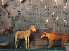 -中国湿地博物馆