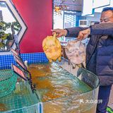 确定不来一顿甲鱼滋补一下嘛！
