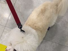 -中农国际动物医院24小时·猫科·骨科·急重症中心