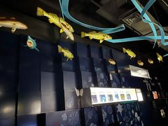 -同济大学四平路校区深海探索馆