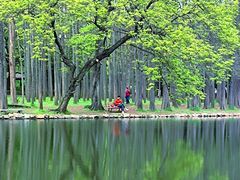 -上海共青森林公园