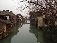 -王阿姨文昌油赞子(府桥街店)
