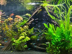 -上海海洋水族馆