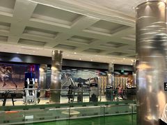 -威尔仕健身(金茂店)