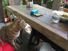 -JUKEBOX玖部音乐餐厅(华侨城店)