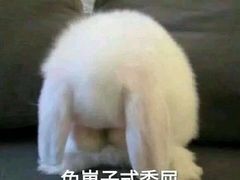 -章云板鸭(总店)