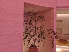 -舒小悦·舒养SPA·古法推拿(光环中心店)