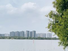 -顺峰山公园