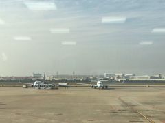 -厦门高崎国际机场-T3航站楼